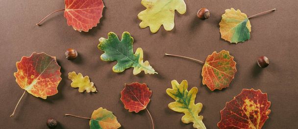 Imagen de la bandera. Hojas secas de otoño sobre fondo marrón. Concepto de temporada de otoño. Vista superior, plano - Foto, Imagen