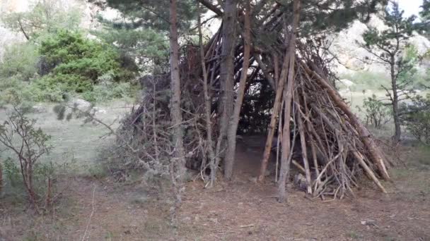 Piano statico di una piccola capanna di teepee nella foresta. Filmati 4k di alta qualità - Filmati, video