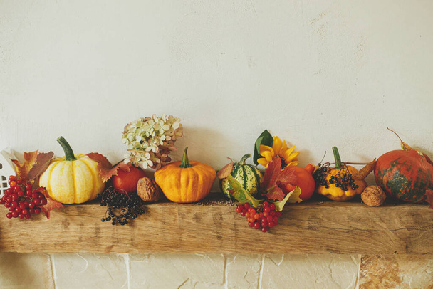 Podzimní dekorace na krbu v rustikální místnosti. Stylové dýně, květiny, bobule, ořechy na rustikálním dřevě na stylovém krbu. Sklizeň na farmě, podzimní výzdoba. Šťastné Díkůvzdání a Halloween - Fotografie, Obrázek
