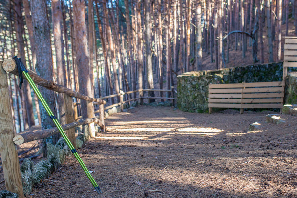 Пара треккинговых столбов на перилах лесных троп. Спортивное оборудование, специализирующееся на трекинге - Фото, изображение