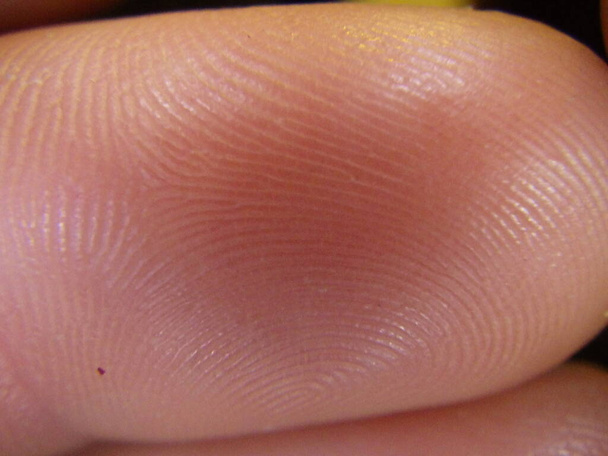 zajištění otisků prstů na forenzním, zviditelnění otisků prstů v policejní práci - Fotografie, Obrázek