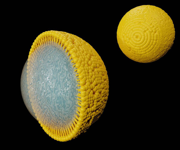 Наноемульсії як наночастинки з зовнішнім шаром твердих ліпідів
 - Фото, зображення
