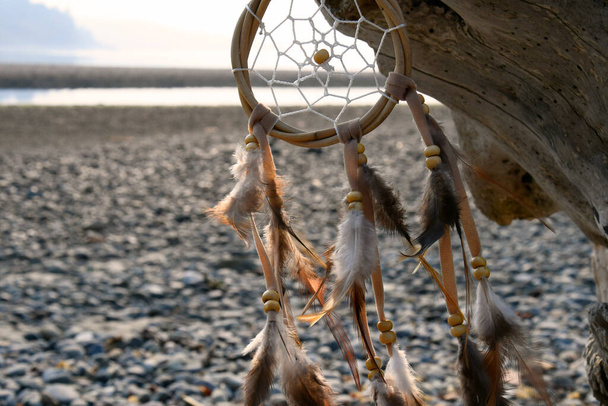 A close up image of a brown and white dream catcher hanging from a piece of driftwood.  - Photo, Image