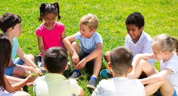 Group of elementary school children chatting on the green lawn - Valokuva, kuva