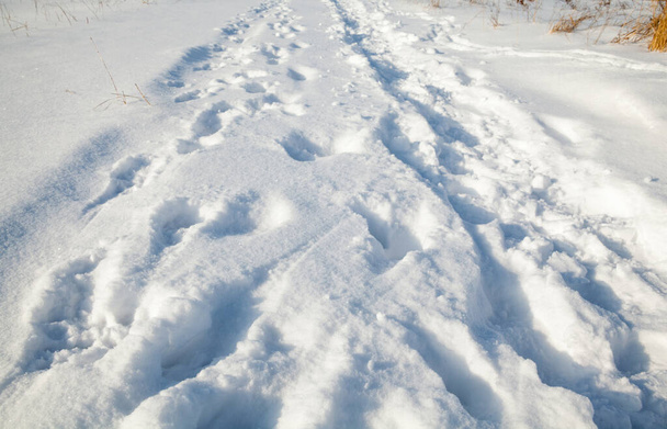 Télen hó borította mezei út. Lábnyomok és egyéb nyomok a hóban. - Fotó, kép