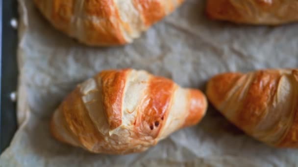 A lot fresh golden French croissant on the metal baking sheet. Freshly classic pastries right after the oven. Big ruddy croissants lie on a baking parchment paper - close-up top view - Footage, Video