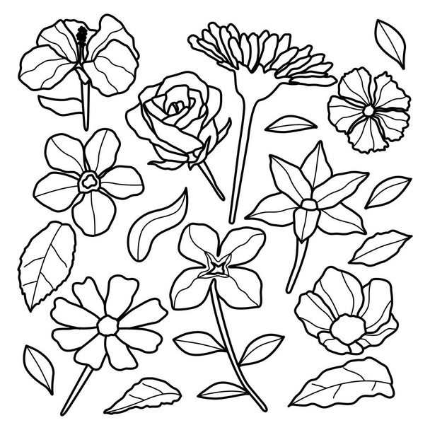 Set de estilo de arte de línea floral realista estética dibujada a mano - Vector, imagen