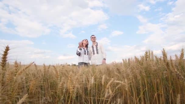 Buğday tarlasında müzik videosu çekiyorum. İşlemeli elbiseli bir Ukraynalı aile mavi gökyüzünün arka planında bir şarkı söylüyor. - Video, Çekim