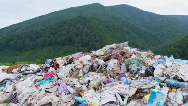 山の緑の森の真ん中にある分別のないゴミ捨て場。環境問題の概念。プラスチック使用の生態学的大惨事 - 映像、動画