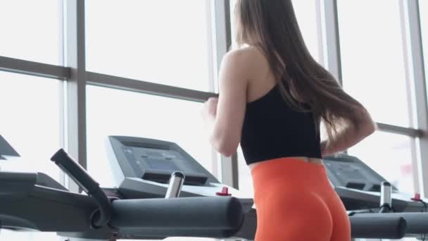 Cardio-workout, jonge vrouw in de sportschool, uithoudingstraining, mooie meisjesatleet op een loopband. Sportmotivatie - Video