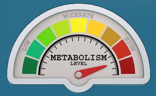 Metabolism level measuring scale with color indicator, 3d rendering - Fotoğraf, Görsel