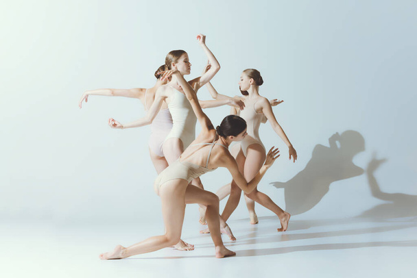 Grupo de mujeres jóvenes, bailarinas bailando, actuando aisladas sobre fondo gris del estudio. Teatro de las sombras. Concepto de arte, belleza, aspiración, creatividad, estilo clásico de baile, elegancia - Foto, imagen