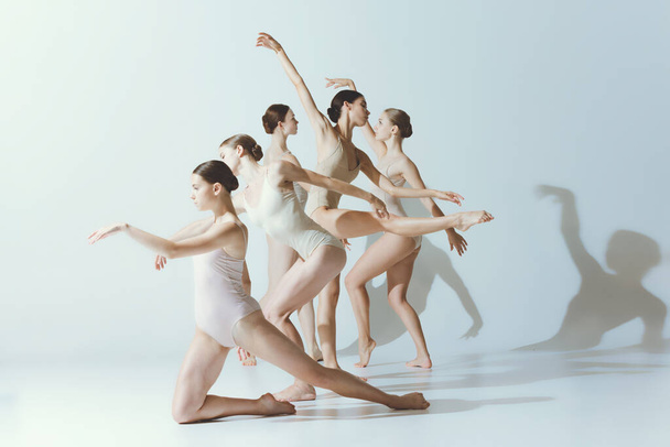 Група молодих жінок, балерини танцюють, виступаючи ізольовано на сірому студійному фоні. Добре узгоджені рухи. Концепція мистецтва, краси, прагнення, творчості, класичний танцювальний стиль, елегантність
 - Фото, зображення