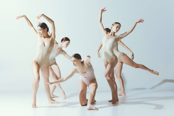 Grupo de mujeres jóvenes, bailarinas bailando, actuando, entrenando aisladas sobre fondo gris estudio. Escuela de ballet. Concepto de arte, belleza, aspiración, creatividad, estilo clásico de baile, elegancia - Foto, Imagen