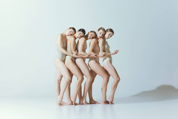 Group of young girls, ballet dancers performing, standing together, holding hands isolated over grey background. Support. Concept of art, beauty, aspiration, creativity, classic dance style, elegance - Photo, Image