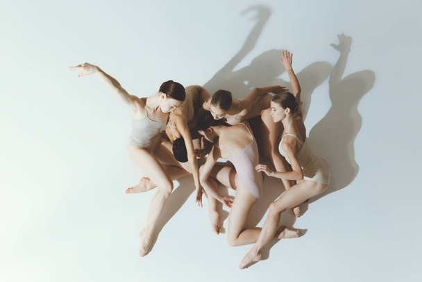 Group of young girls, ballet dancers performing, posing isolated over grey studio background. Tender shadows. Concept of art, beauty, aspiration, creativity, classic dance style, elegance - Fotó, kép