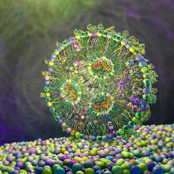Vaccino lipidico nanoparticella mRNA, un tipo di vaccino usato contro Covid-19 e l'influenza. Illustrazione 3D che mostra la sezione trasversale di una nanoparticella lipidica portante mRNA del virus (arancione). - Foto, immagini