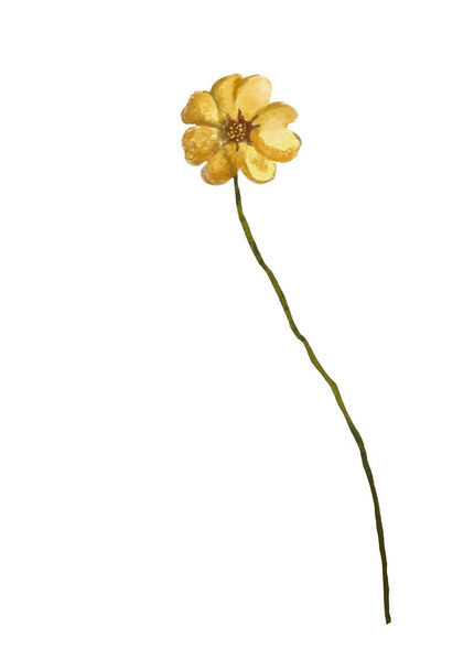 acuarela flor aislada sobre fondo blanco
 - Foto, Imagen