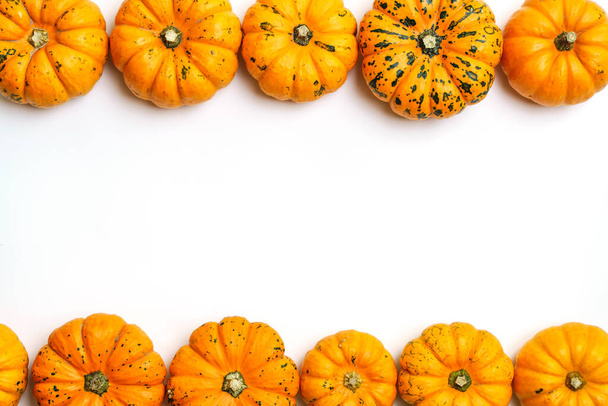 Pumpkins on white isolated background. Yellow autumn harvest pumpkins on empty backdrop. Fall holidays, halloween, thanksgiving day, food concept. High quality photo - Fotoğraf, Görsel