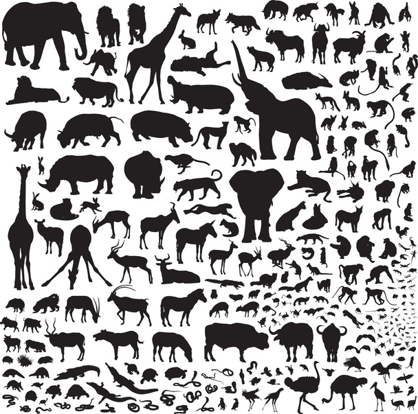 Όλα τα ζώα της Αφρικής - Διάνυσμα, εικόνα