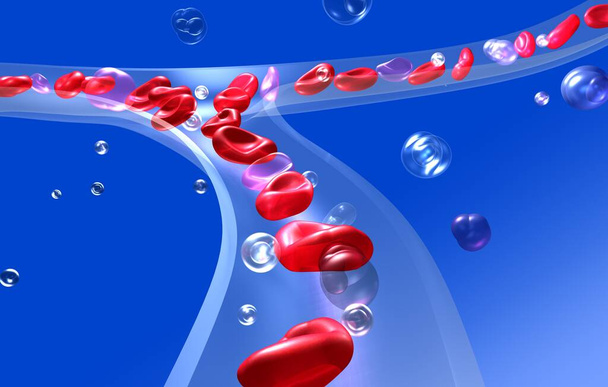 Anatomické 3D ilustrace červených krvinek v krevním oběhu. Průhledné kapilární sklo na modrém pozadí. - Fotografie, Obrázek