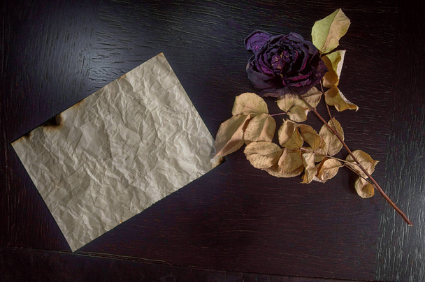 SONY. Several variants of paper for writing notes with a certain nostalgic content, with a withered rose showing how long ago the note was written, photographed in a studio under artificial lighting, from above. - Photo, Image