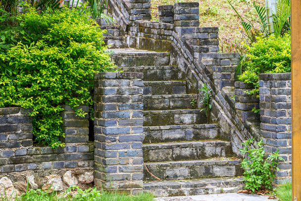 Mavi tuğlalardan ve yeşil bitkilerden yapılmış şehir duvarı merdivenleri. - Fotoğraf, Görsel