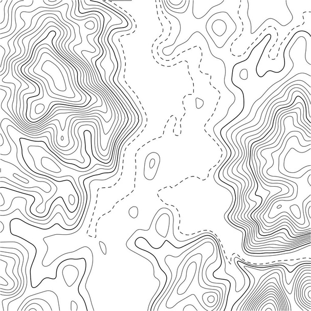 Topographic map background. Grid map. Pattern of contour lines. Vector illustration - Vector, Imagen