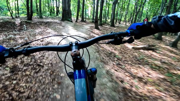 Ендуро велосипедна прогулянка в лісових стежках
 - Фото, зображення