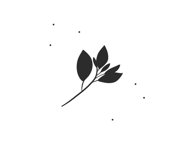 Ilustración gráfica plana de stock abstracto vectorial dibujado a mano con elemento de logotipo mínimo, línea bohemia arte de silueta de rama de hojas para la marca, aislado sobre fondo blanco. - Vector, Imagen