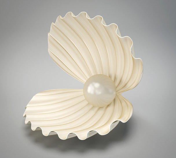 Shell with pearl - Photo, Image