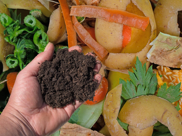 Hand with topsoil and biowaste - Photo, Image