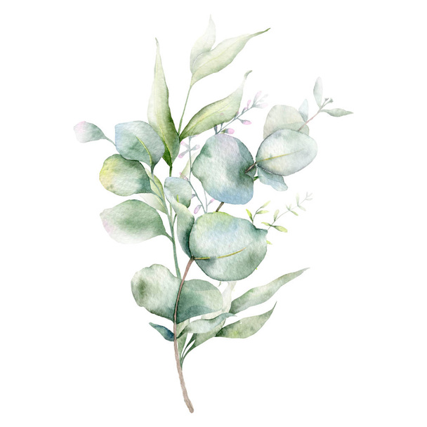 Eukaliptusz ágak akvarell, virágos keret, zöld keret, virágos elrendezése, zöld levelek összetétele, virágkompozíció  - Fotó, kép