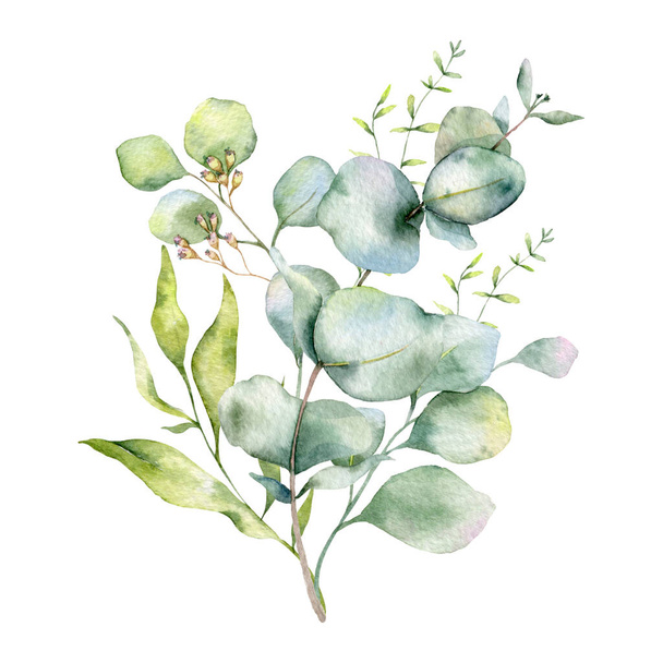 Ветви эвкалипта Акварель, Цветочная рамка, Зеленая рамка, Цветочная композиция, Зеленые листья - Фото, изображение
