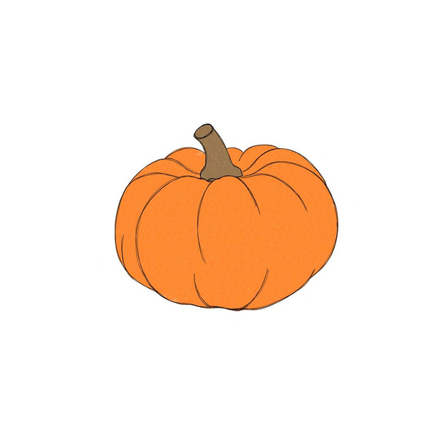 Kürbis-Aquarell-Zeichnung freie Hand. Kürbis zu Thanksgiving. Heller Kürbis zu Halloween - Foto, Bild