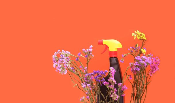 Garrafas de plástico escuro em fundo de esmagamento de damasco com kermek flor seca. Detergentes ecológicos para limpeza. Mockup de produto para sua marca ou embalagem.  - Foto, Imagem
