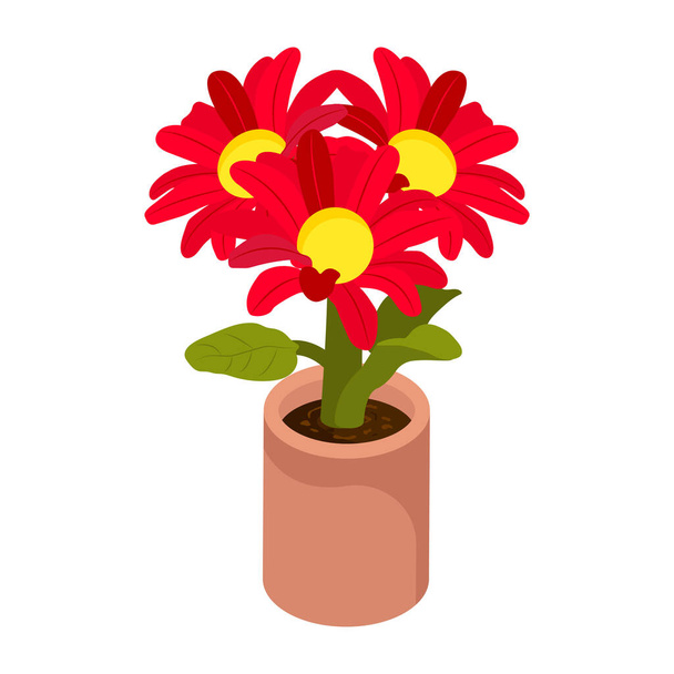 Gerbera Flowers modern design, vector illustration - Vecteur, image