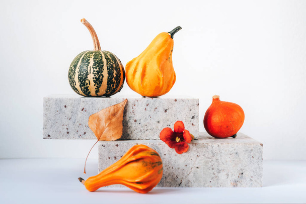 Decorative pumpkins, autumn leaves and orange flower on marble podium on white background. Thanksgiving concept. - Photo, Image