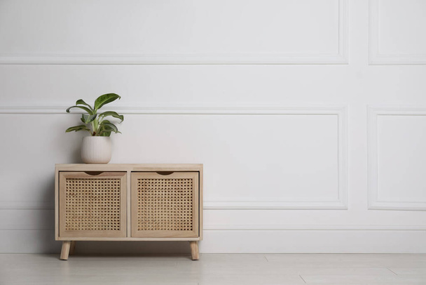 Green plant on wooden chest of drawers near white wall indoors. Interior design - 写真・画像