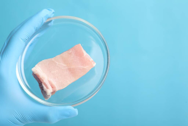 Scienziato che tiene la capsula di Petri con carne coltivata in laboratorio su fondo azzurro, primo piano. Spazio per testo - Foto, immagini
