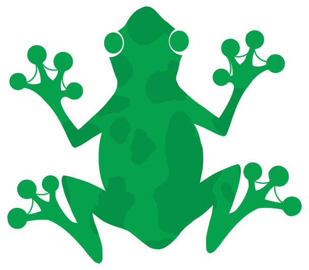 Зелёная пятнистая лягушка
 - Вектор,изображение