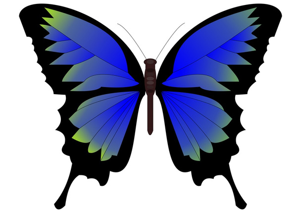 Pojedynczy motyl w niebiesko zielony design - Wektor, obraz