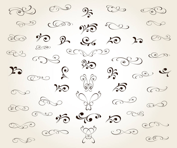 Set of floral decorative elements for design isolated, editable. From the largest and best collection of decorative elements . - Vektor, obrázek