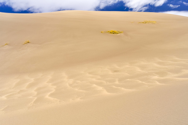 Great Sand Dunes National Park and Preserve, Colorado (USA) - Photo, Image
