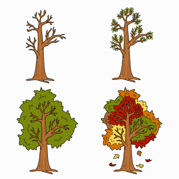 Čtyři roční období, vektorové sada stromů - Vektor, obrázek