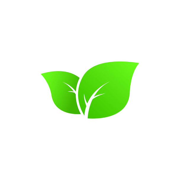 Groene blad logo vector graphics - Vector, afbeelding