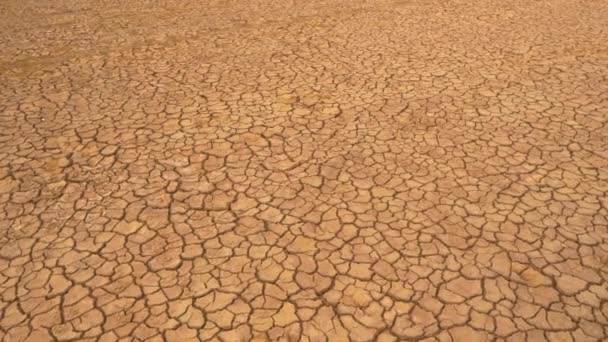 Luchtfoto van gebarsten land veroorzaakt door een lange tocht. Bruine uitgedroogde grond met scheuren in de grond en geen vegetatie. Droge landschap met barsten patroon veroorzaakt door gebrek aan water. - Video