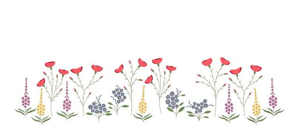 mooie wilde bloemen op witte achtergrond - Vector, afbeelding