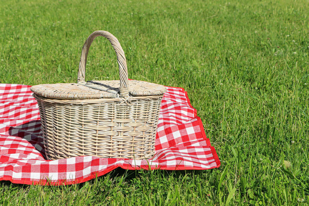 Picnic basket with checkered tablecloth on green grass outdoors, space for text - Fotoğraf, Görsel