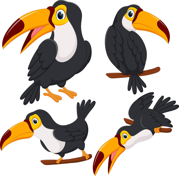 Εικονογράφηση διάνυσμα του συνόλου των υπέροχων toucans από διαφορετικές γωνίες σε λευκό φόντο - Διάνυσμα, εικόνα